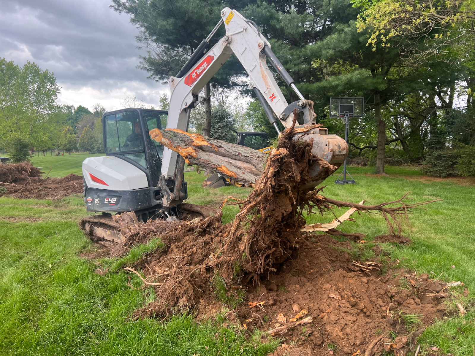 Excavator removing a large tree stump and roots, showcasing professional tree trimming and cleanup services by Urban Landscapes in a residential yard.