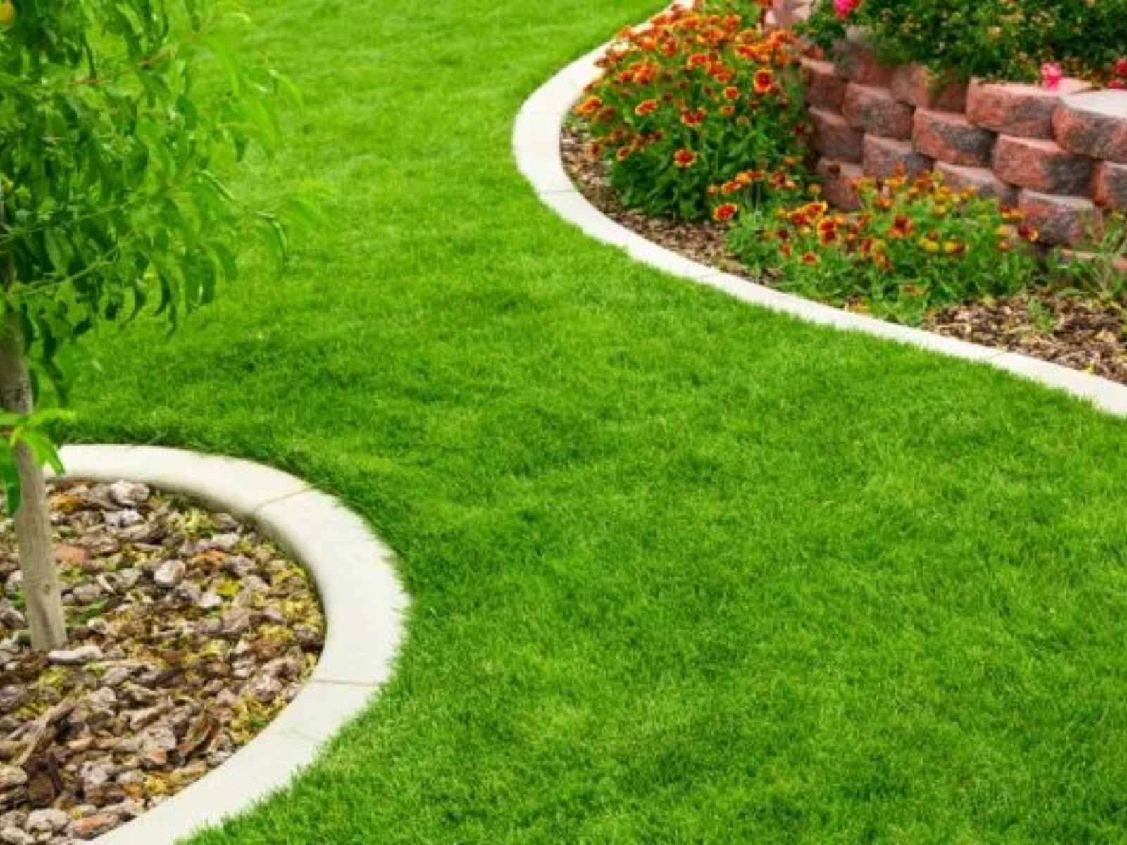 Lush green lawn with curved edging, bordered by vibrant flowers and decorative stonework, showcasing seasonal landscaping maintenance.