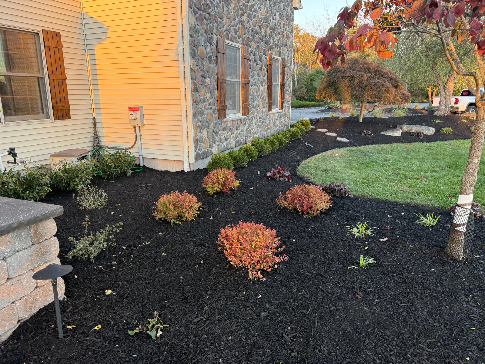 Landscaped garden area featuring evergreen shrubs and colorful ornamental plants, with freshly laid black mulch, enhancing the aesthetic appeal of a residential property in Princeton, New Jersey.