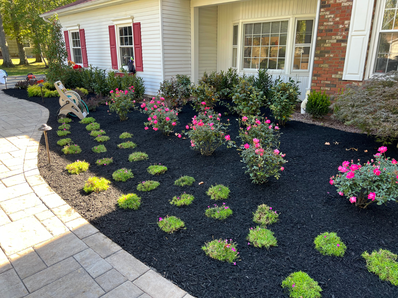 Landscape design featuring freshly mulched flower beds with pink roses and green ground cover, showcasing proper plant installation techniques by Urban Landscapes.