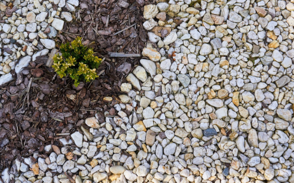 Mulch and stone ground cover showcasing contrasting textures, enhancing landscape aesthetics and promoting plant health in outdoor spaces.