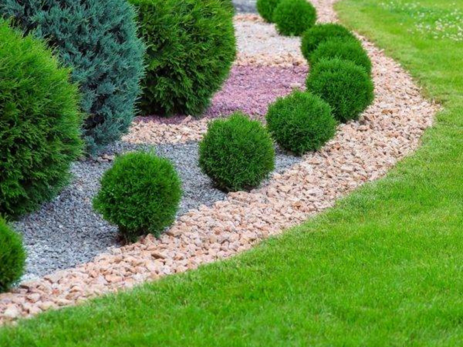 mulch ser Curved garden bed featuring neatly arranged greenery, round shrubs, and contrasting gravel types, illustrating effective landscaping techniques for gravel installation and maintenance.