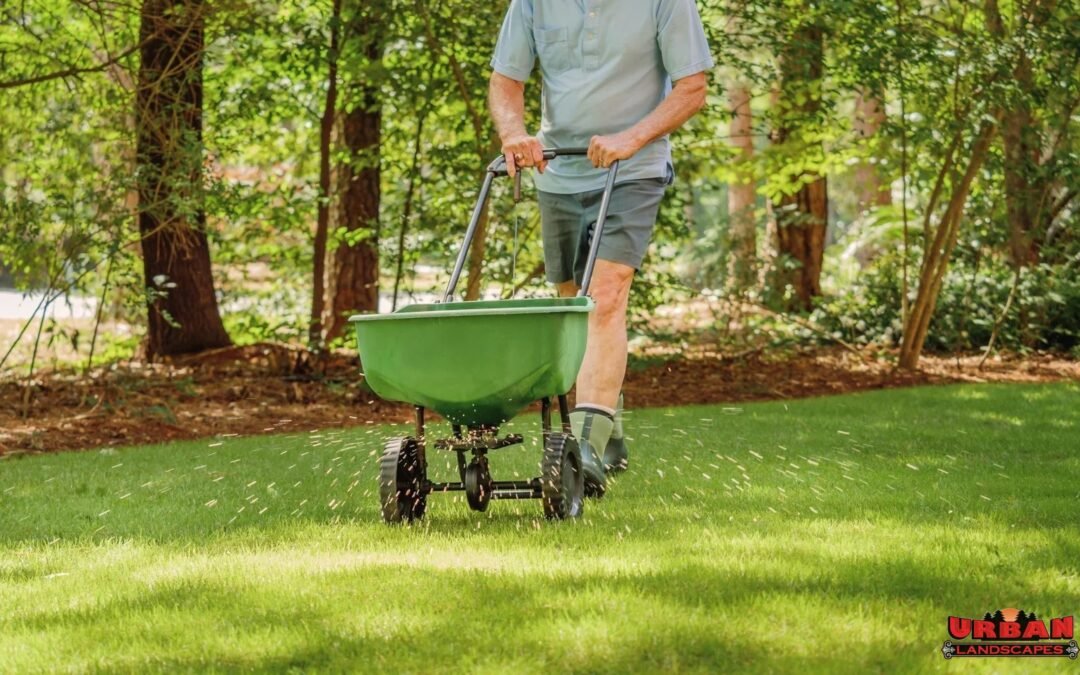 fall lawn seeding Princeton NJ